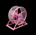 Balle Rouleuse Ludique PetZoom